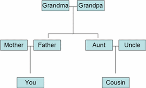 Family tree